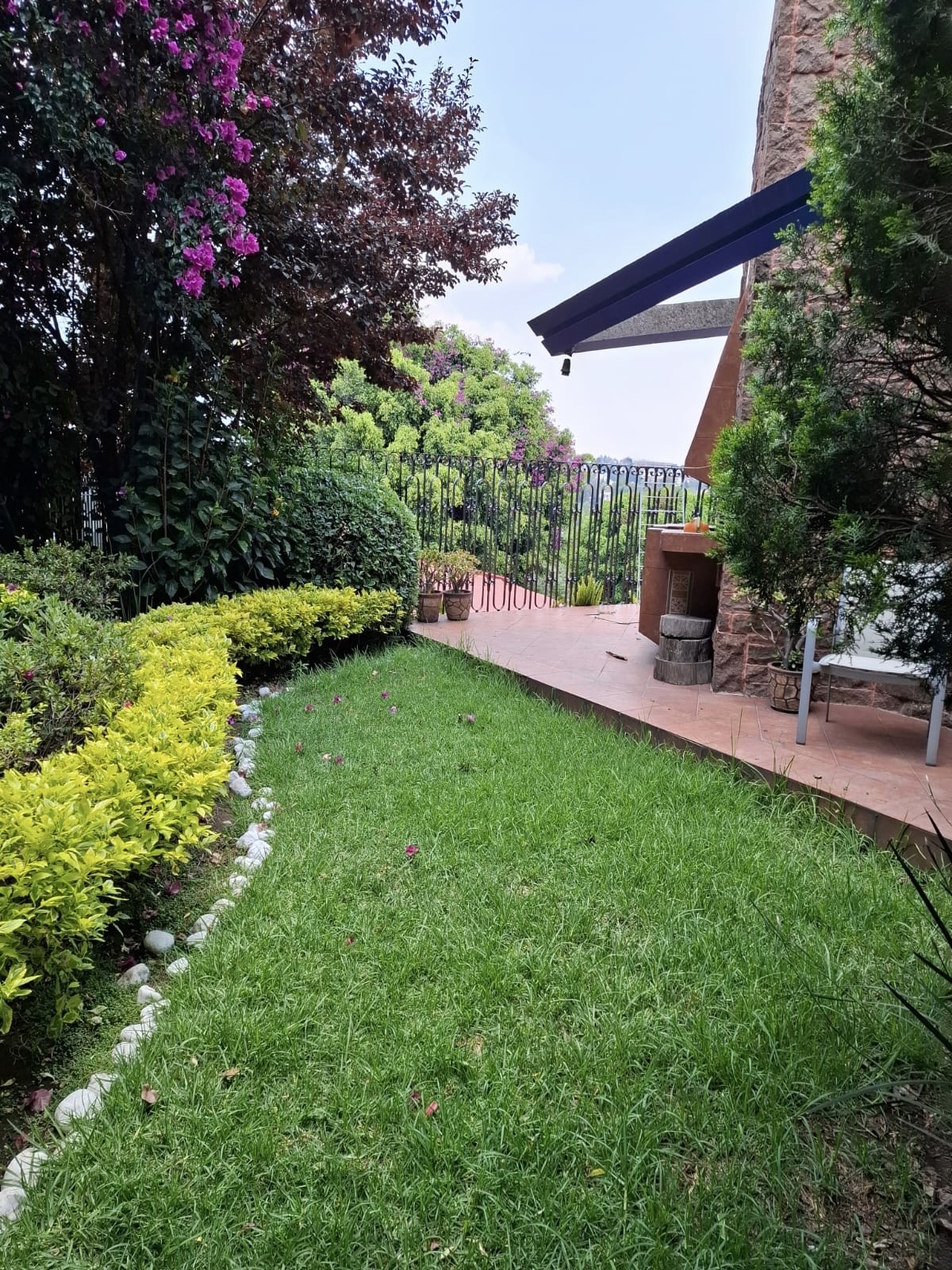 Jardín con pasto, bugambilias y terraza de barro